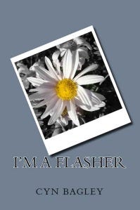 Imaflasher ebook cover