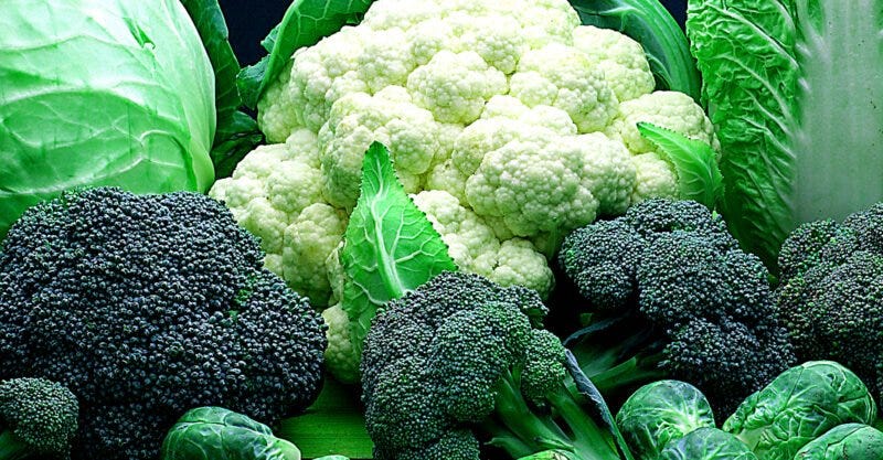 cruciferous vegetables improve health feature
