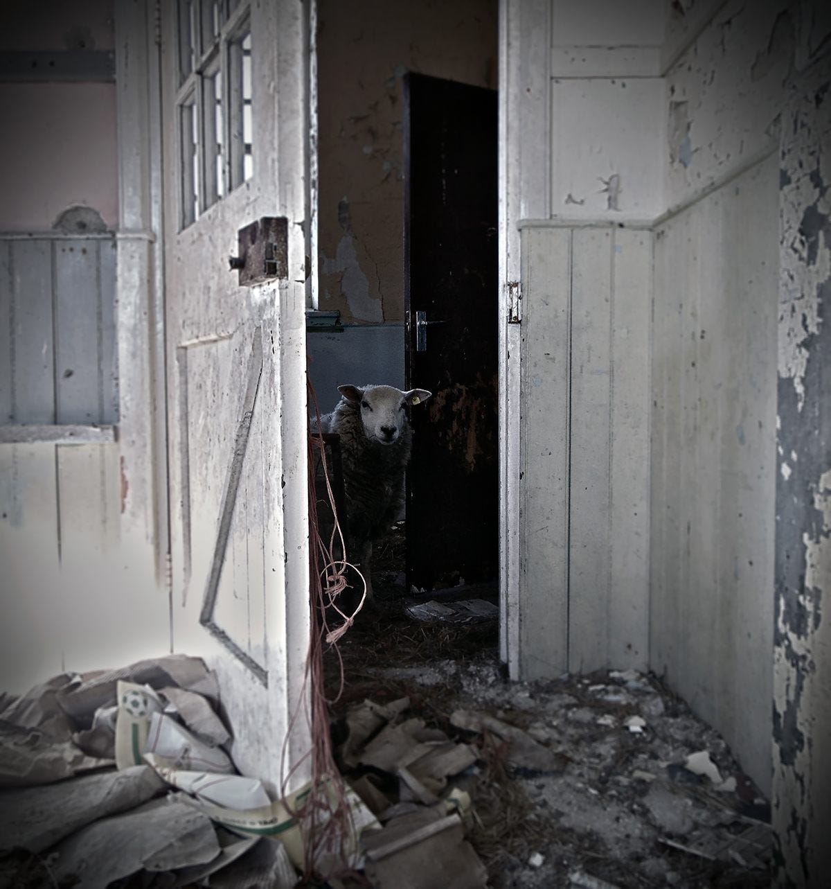 Looking Inside the Abandoned Schools of the Irish Countryside - Atlas  Obscura