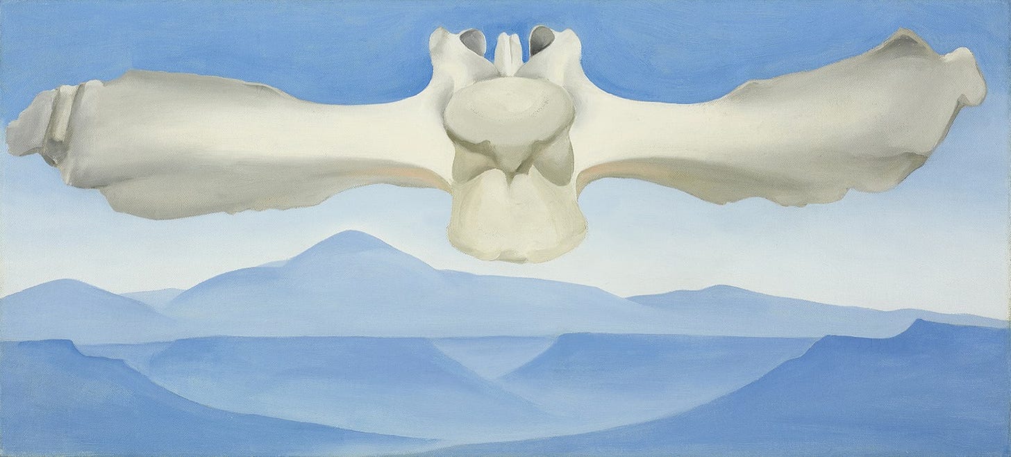 37 Georgia O'Keeffe works hang next to contemporary artists at NBMAA –  Hartford Courant
