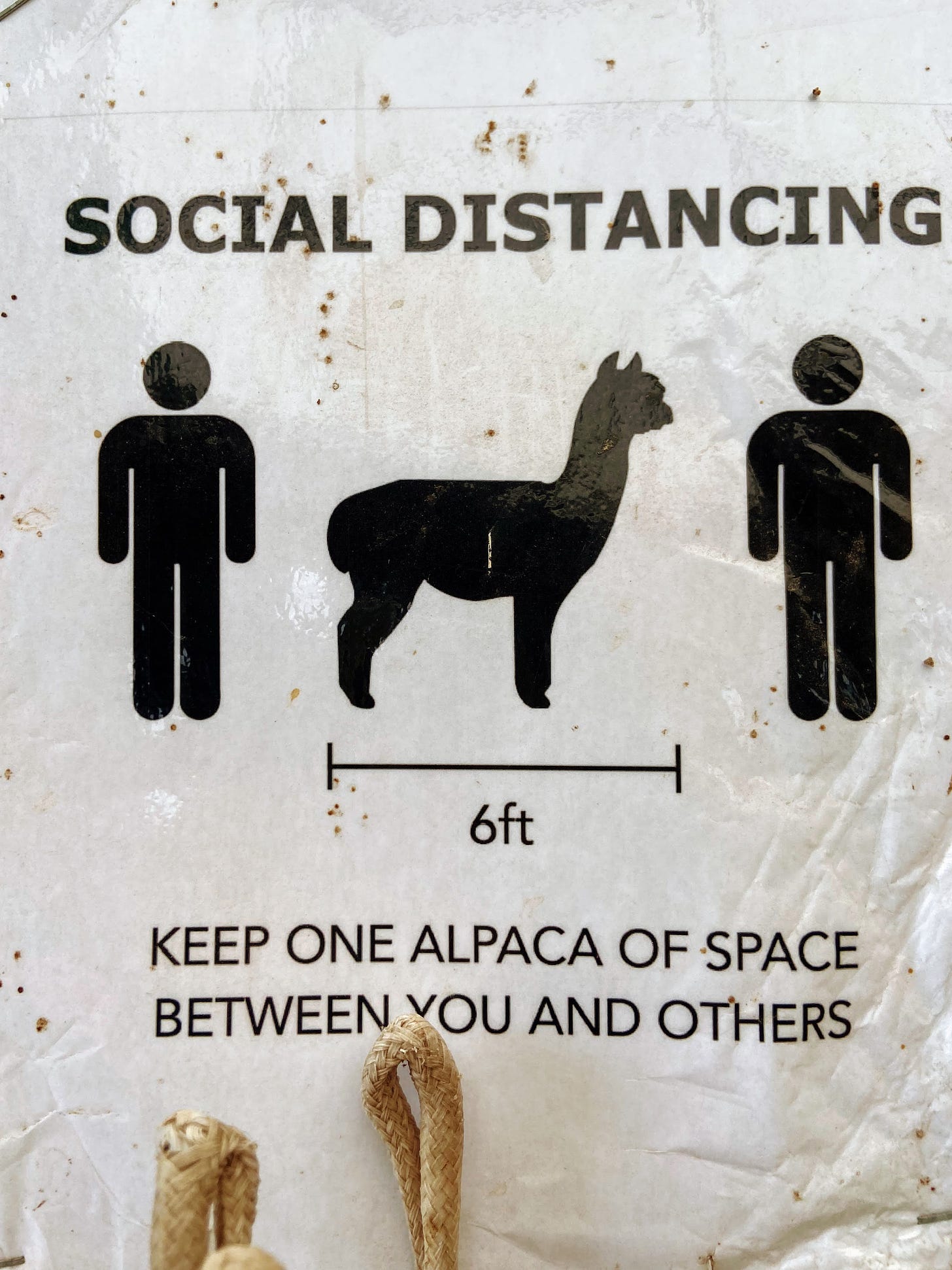 social distancing sign: "keep one alpaca of space between you and others"