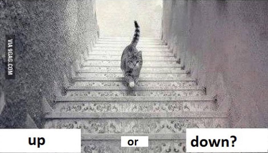 Web&#39;s new question: Is this cat going up or down the stairs? - CNET