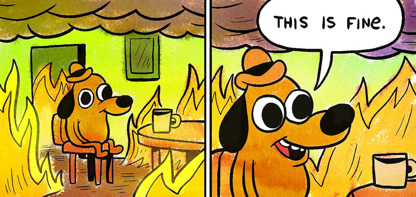 A cartoon of a dog sat in a blazing room saying "This is Fine"