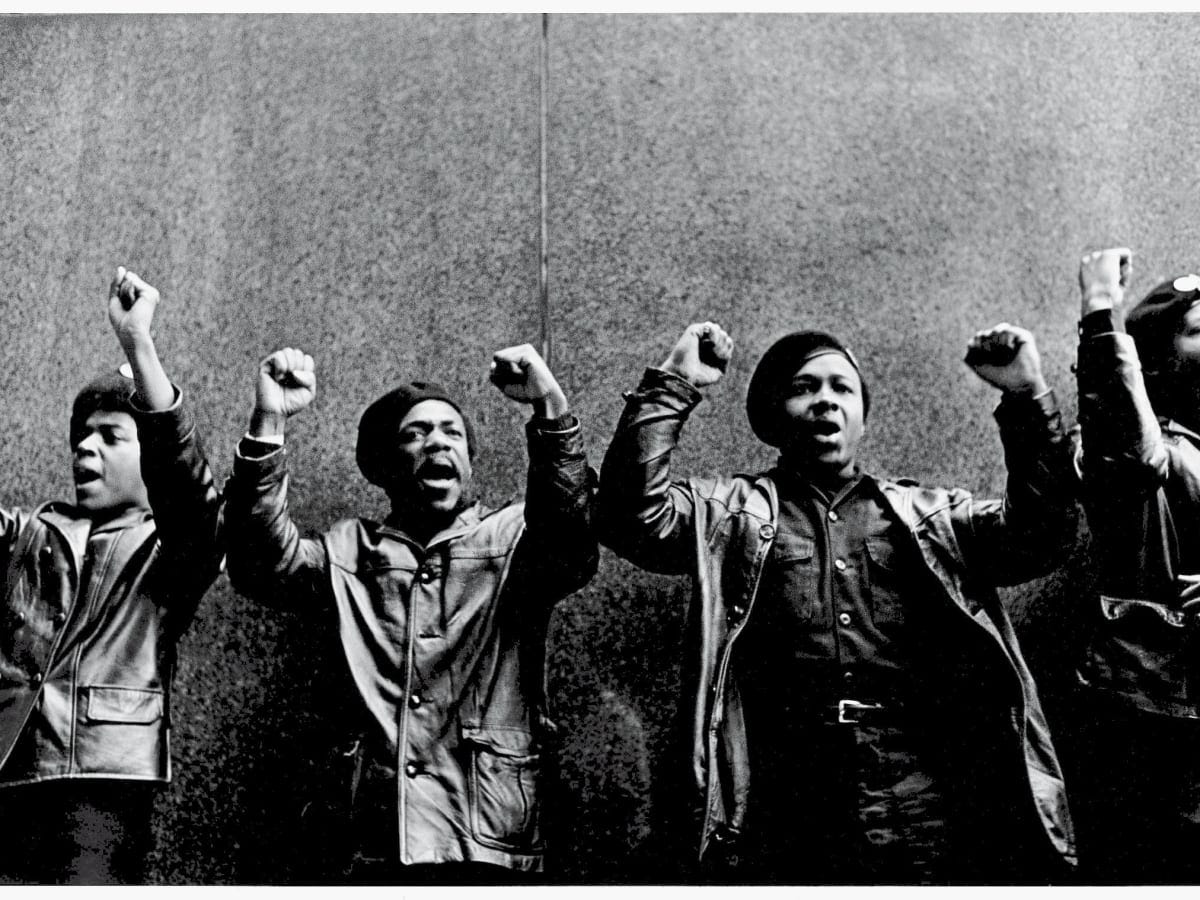 https://www.history.com/topics/civil-rights-movement/black-panthers