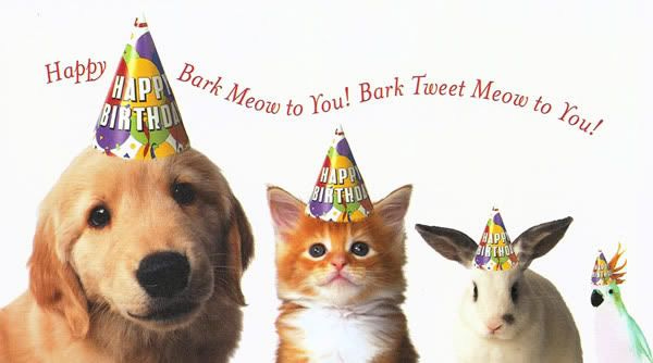 Animal Lovers Paradise | Happy birthday animals, Animal birthday, Dog  birthday