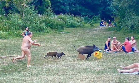 The nudist chased the boar - and a yellow bag containing his laptop - into undergrowth near Berlin’s Teufelssee.