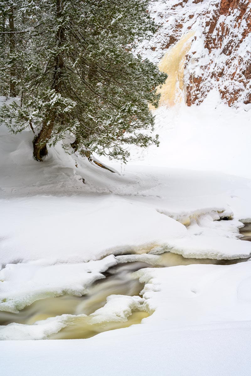 A photo of a frozen river with a little running water in the foreground, a white cedar on the left and a red canyon wall in the background.