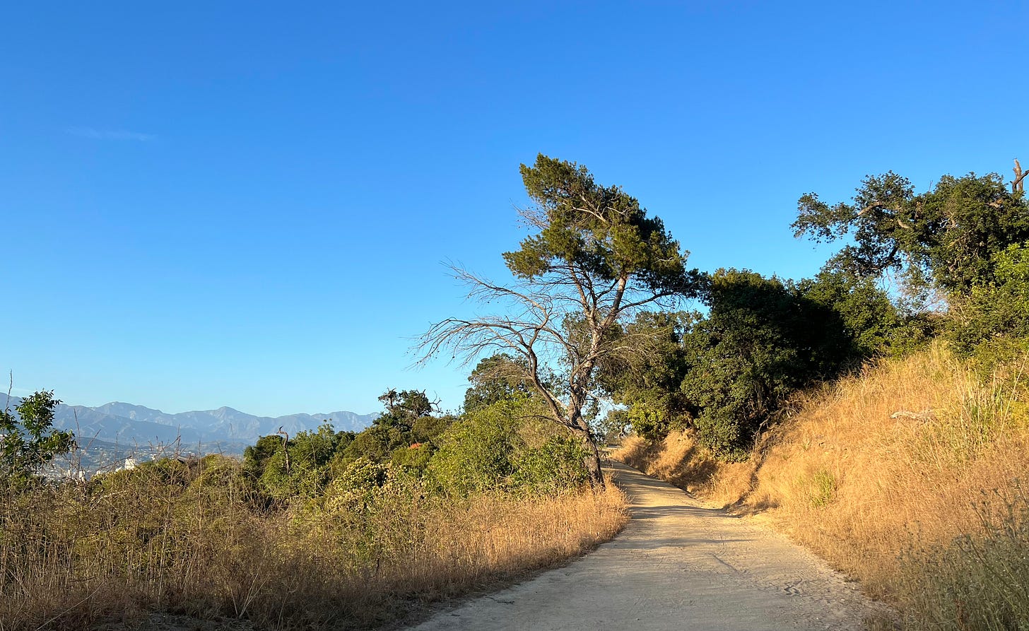 Hiking trail with mountains, trees, and wild grass at sunset in Los Angeles