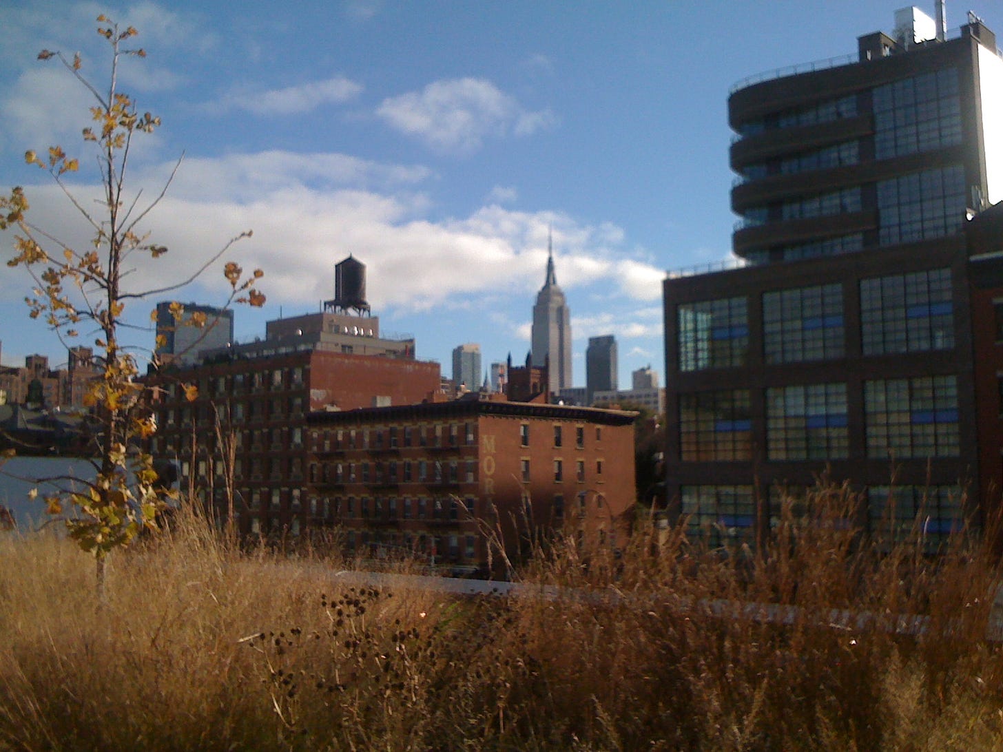Grassland on High Line New York, a rooftop water tower and Empire State Building