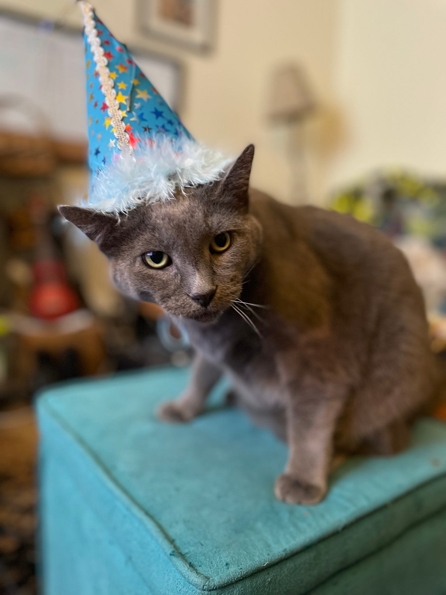 General Smedley Butler, seen here with the same party hat as before. He has an angry look on his face. 