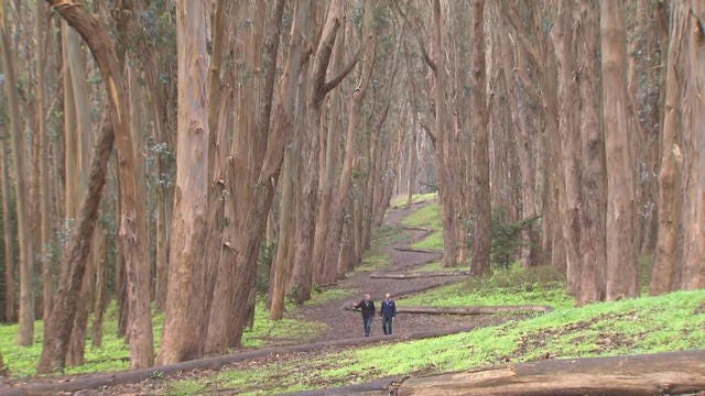 Presidio Park in San Francisco: A beautiful enclave with a unique history -  CBS News