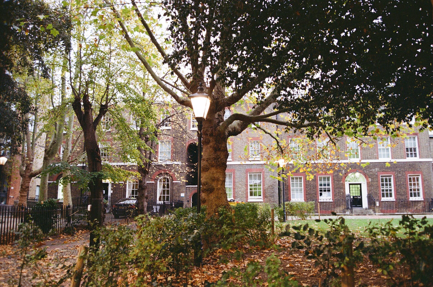 A row of Georgian buildings in brown and red brick in Camberwell, surrounded by trees, autumn leaves and an old-fashioned lamppost.