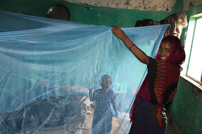A person hanging up an insecticide-treated bednet. President's Malaria Initiative, Public domain, via Wikimedia Commons.