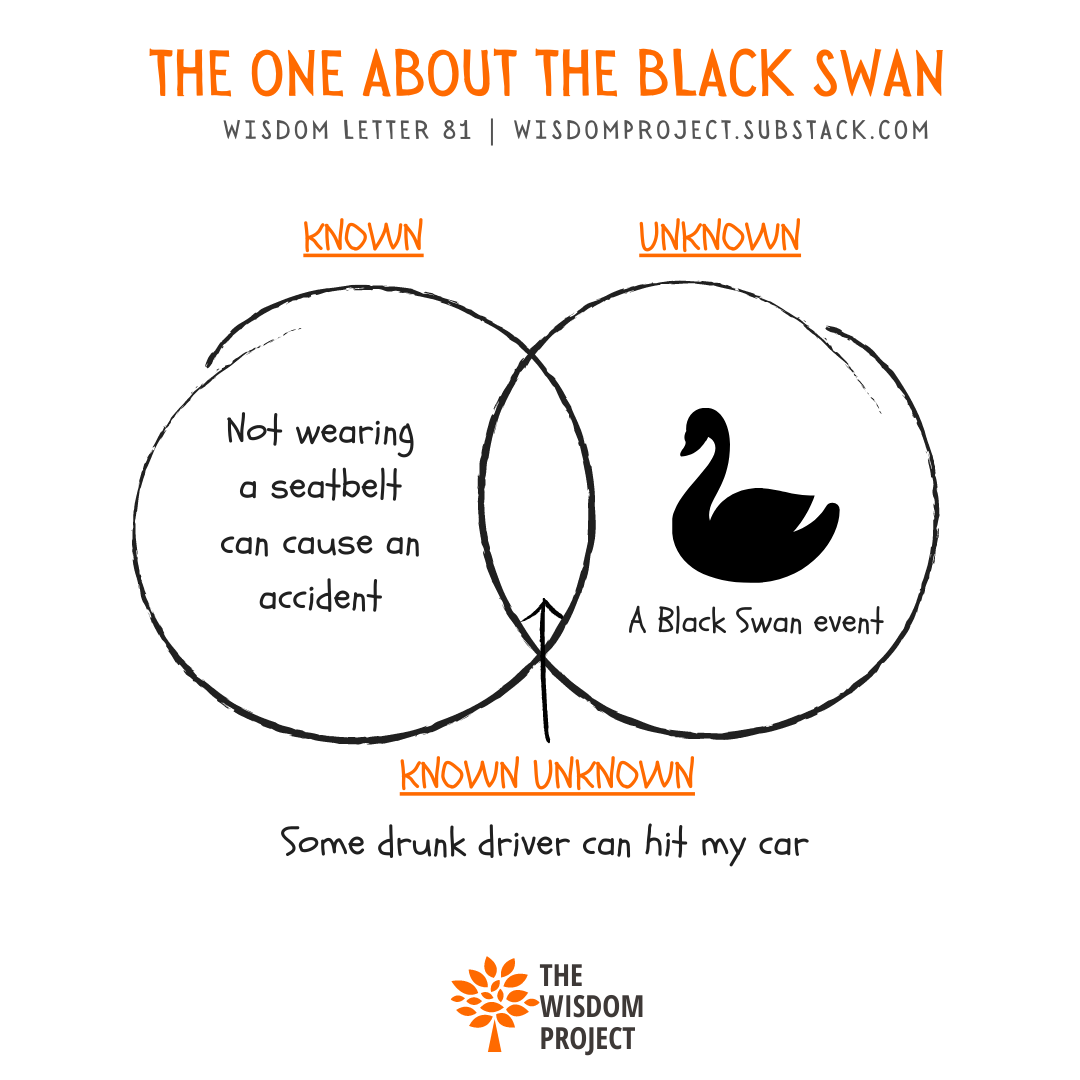 The Black Swan Effect
