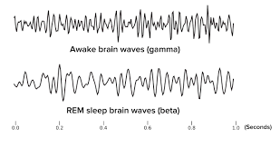 The Architecture of Sleep - SnoreLab Sleep Science Insights