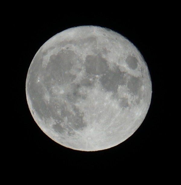 Oh, hey, Blue Moon (Credit: Lance Ulanoff)