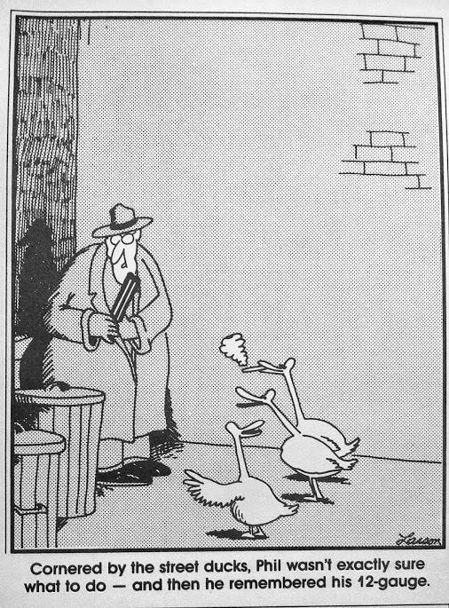 May be a cartoon of text that says 'Cornered by the street ducks, Phil wasn't exactly sure what to do and then he remembered his 12-gauge.'