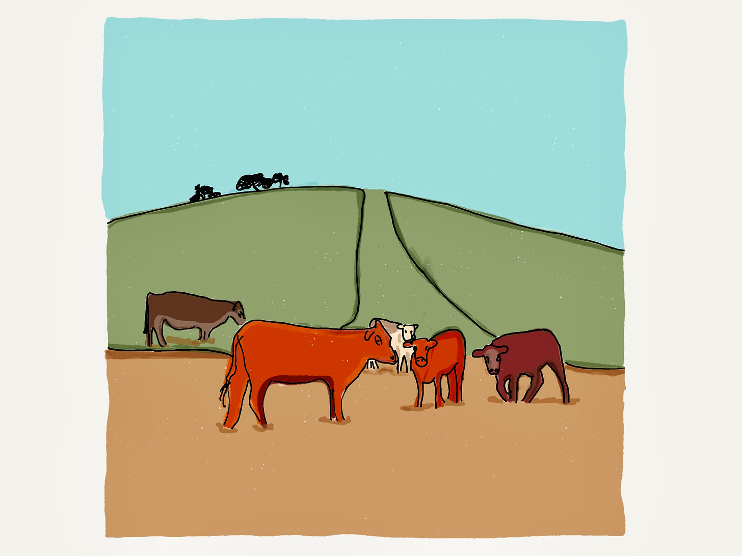 drawing of cows in a field with a green hill in the background and blue sky above it