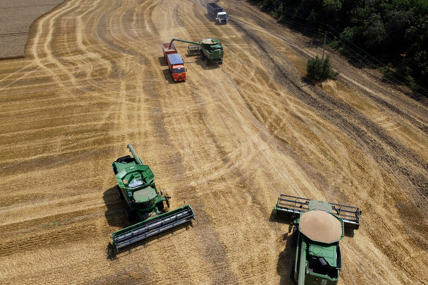 Russian war against Ukraine in &amp;#39;world&amp;#39;s breadbasket&amp;#39; may threaten global  food supply | The Times of Israel