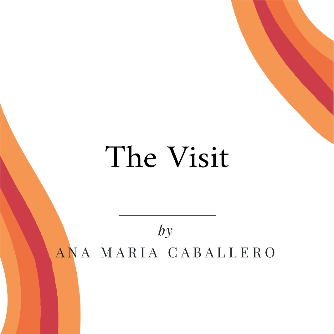 The Visit by Ana Maria Caballero