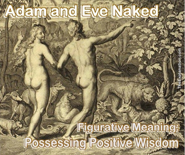 Adam and Eve naked from 1728 Figures de la Bible. At this juncture, in the Genesis story both of them had POSITIVE wisdom. Adam and Eve naked from 1728 Figures de la Bible. At this juncture, in the Genesis story both of them had POSITIVE wisdom.