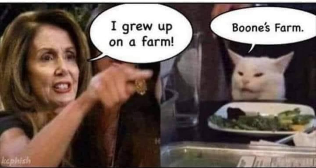 May be an image of 1 person and text that says 'I grew up on a farm! Boone's Farm. kephish'