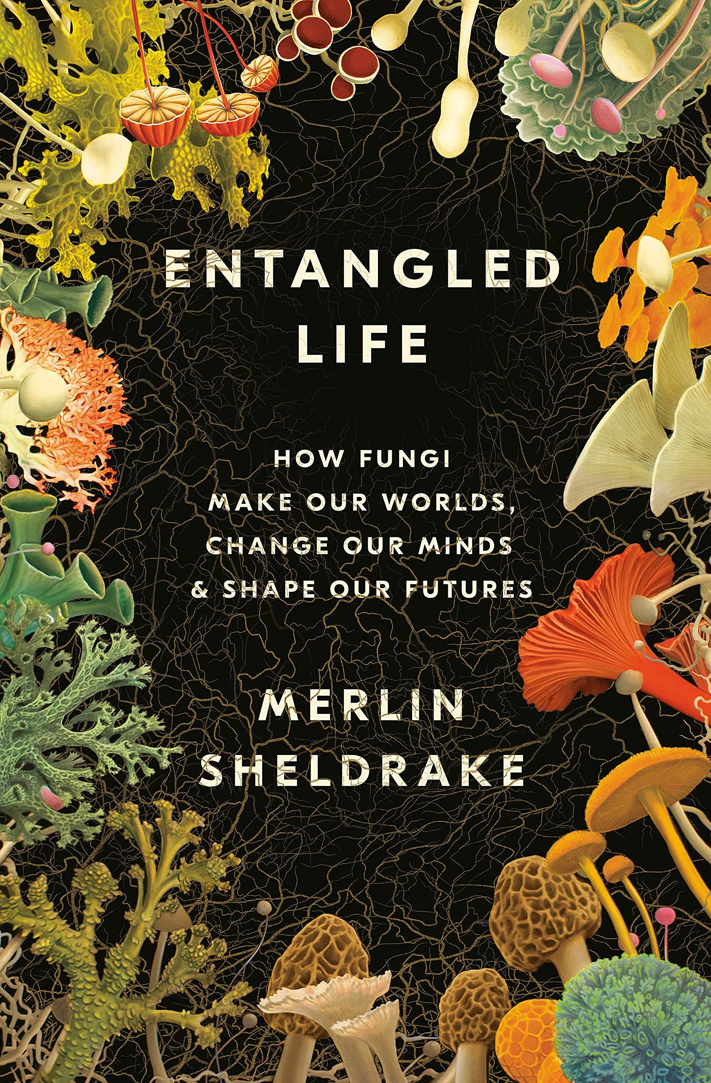 Entangled Life: How Fungi Make Our Worlds, Change Our Minds & Shape Our  Futures: Amazon.co.uk: Sheldrake, Merlin: 9780525510314: Books