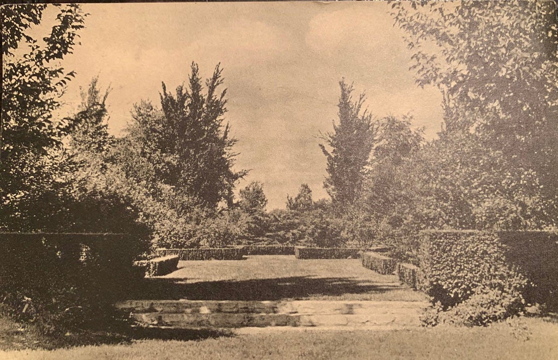Sepia toned postcard showing low stone steps with clipped hedges on either side and tall trees on the opposite side of a lawn area.