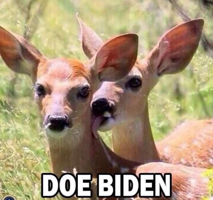 May be an image of text that says 'DOE BIDEN'