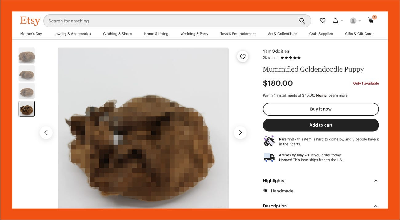 Screenshot of mummified puppy being sold on Etsy