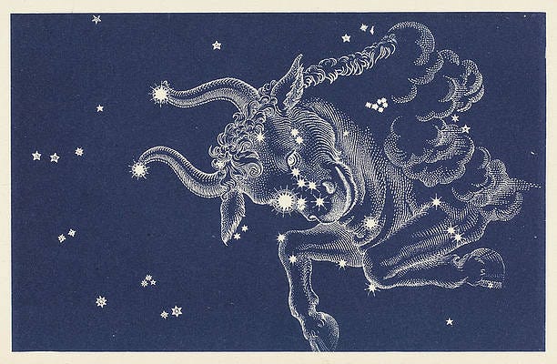 Constellation Taurus Drawings | Fine Art America