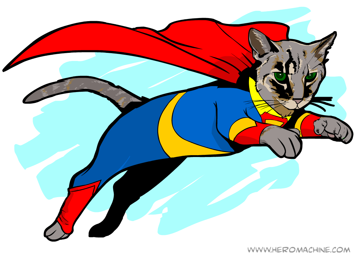 Today, We're Turning Your Cat Into a Superhero - Literally - Catster