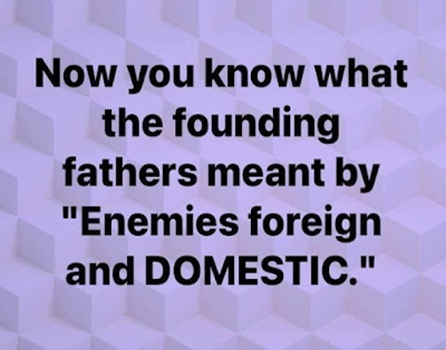 May be an image of one or more people and text that says 'Now you know what the founding fathers meant by "Enemies foreign and DOMESTIC."'