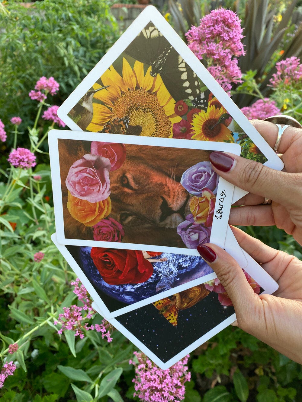 Various cards are held out from the Vision of the Muse tarot deck. The top card you can see is the Courage card, which features a photo of a lion surrounded by multicolored roses.
