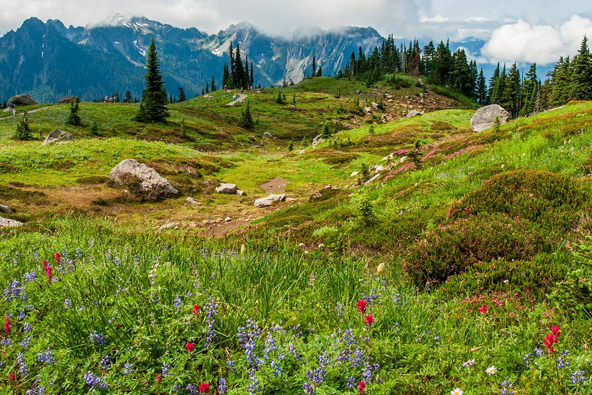 lush greenery and bright wildlfowers in red and blue surround a dry tarn spotted with boulders in front of a winding trail with tourists walking along the crest of the hill, jagged forest-covered mountains far beyond