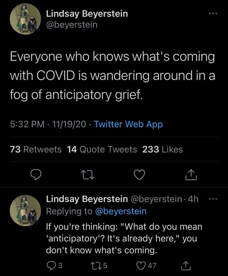 Image may contain: text that says 'Lindsay Beyerstein @beyerstein Everyone who knows what's coming with COVID is wandering around in a fog of anticipatory grief. 5:32PM 11/19/20 Twitter Web App 73 Retweets 14 Quote Tweets 233 Likes Lindsay Beyerstein @beyerstein·4h Replyingto@beyerstein to @beyerstein If you thinking: "What do you mean 'anticipatory'? It's already here," you don't know what's coming.'