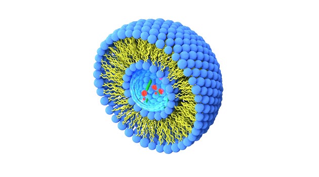 Training on creating liposome-based drug delivery systems