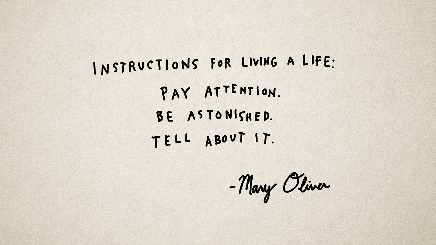 Instructions for living a life: Pay attention. Be astonished. Tell about  it." -Mary Oliver | Powerful quotes, Quotes to live by, Mary oliver quotes