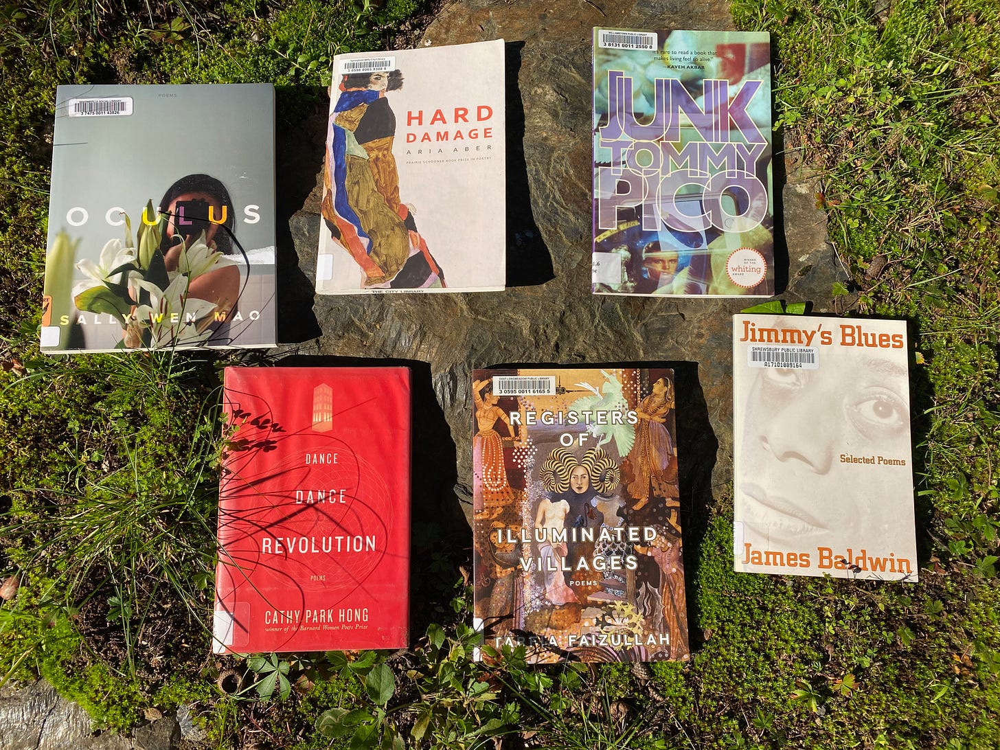 Six poetry books lying face up on a sunny rock in a grassy yard.