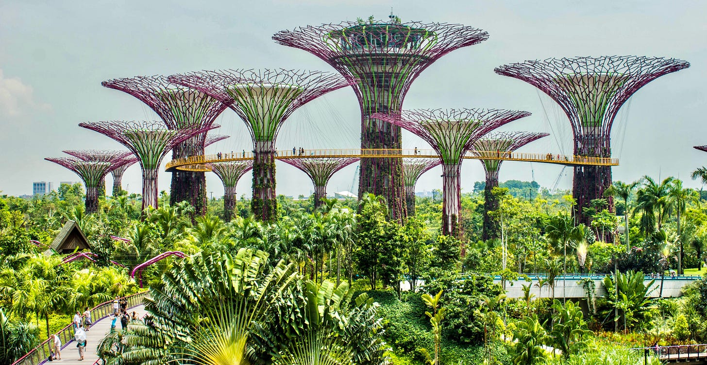 Supertree Grove, Gardens by the Bay, Singapore Supertree Grove, Gardens by the Bay, Singapore
