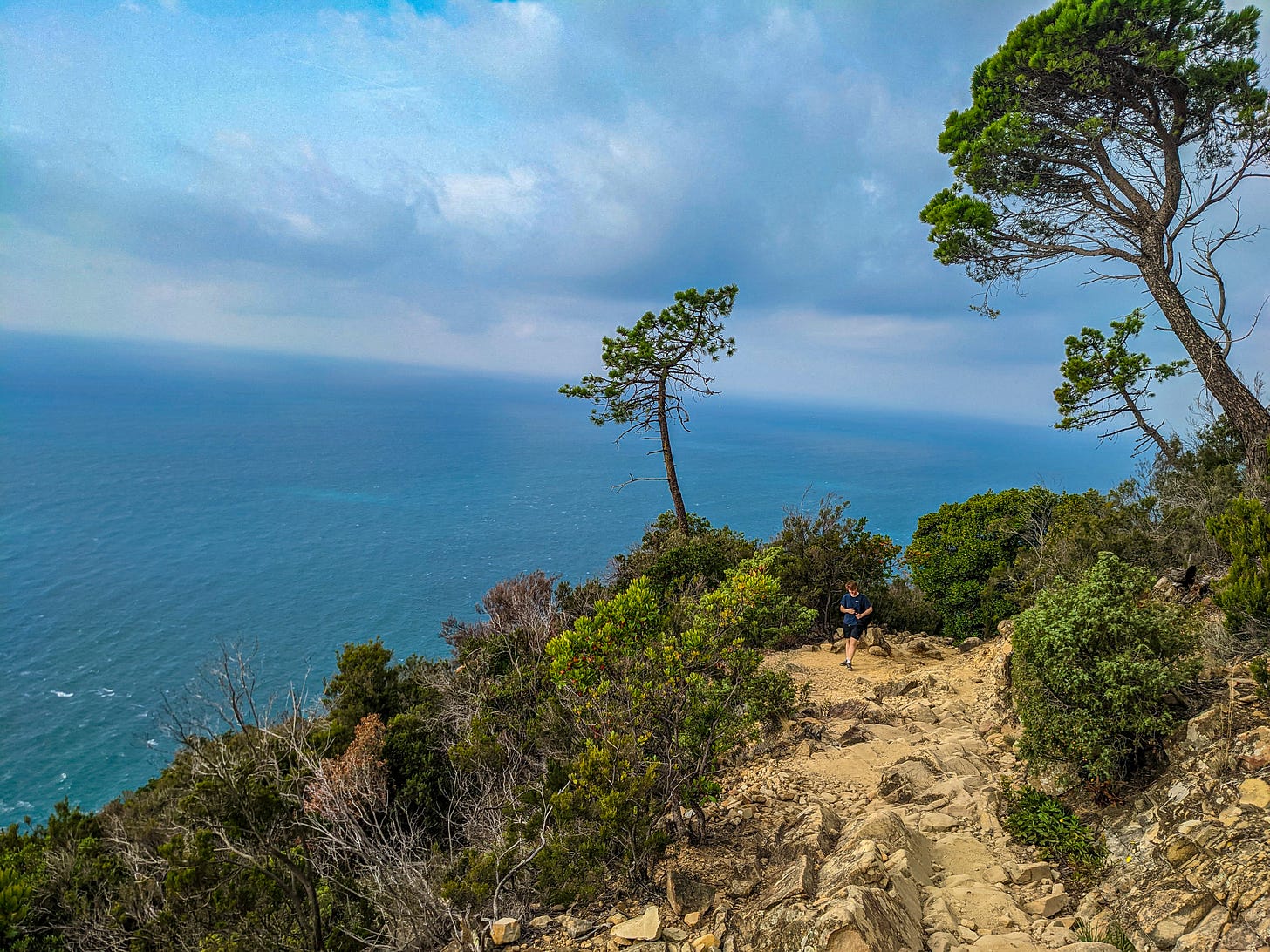 Halfway between Vernazza and Corniglia is this sweeping view of the Ligurian Sea, trees and bushes in the foreground. 