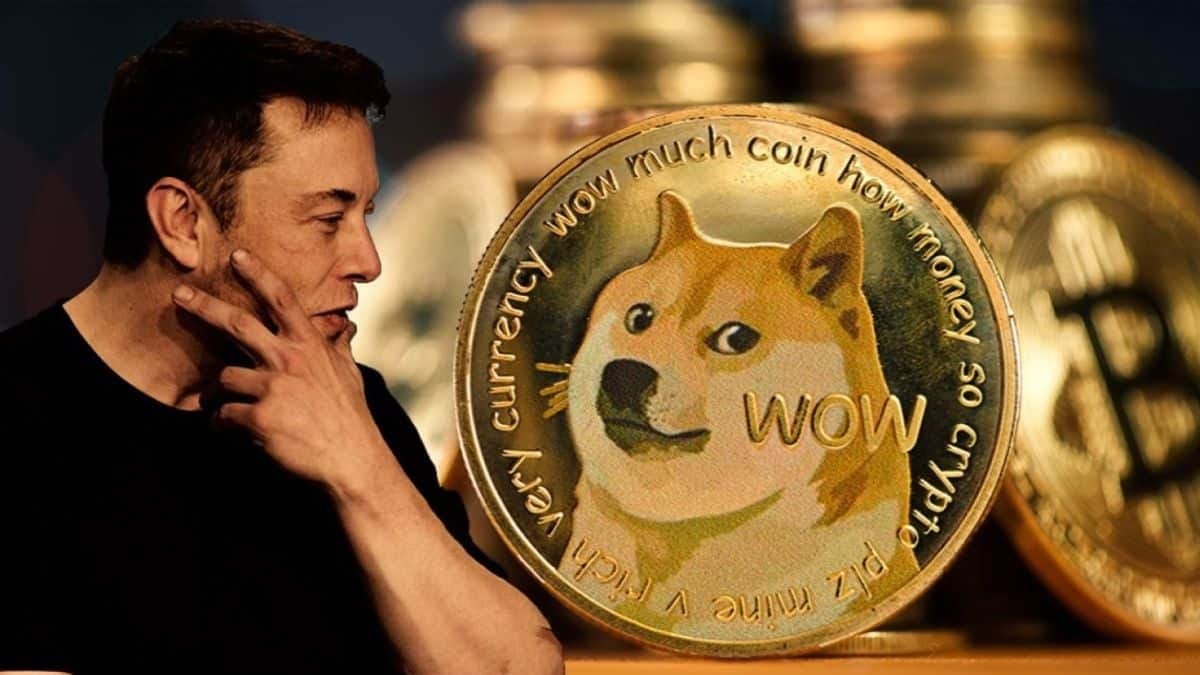 Dogecoin Co-Founder Says Elon Supports DOGE For This Reason Alone