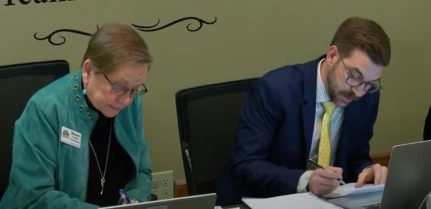 Zoom screenshot shows older woman in green and younger bearded man with a blue jacket and yellow tie focusing on the papers and laptops in front of them.