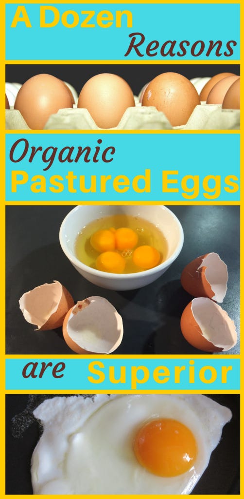 A Dozen Beautiful Reasons Organic Pastured Eggs are Superior