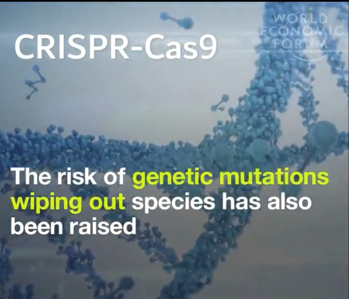 Why Would Bill Gates & The World Economic Forum Be So Interested in CRISPR Technology ? Https%3A%2F%2Fbucketeer-e05bbc84-baa3-437e-9518-adb32be77984.s3.amazonaws.com%2Fpublic%2Fimages%2F619aa1fd-a23a-4198-82ee-7b8214b497b3_1140x979