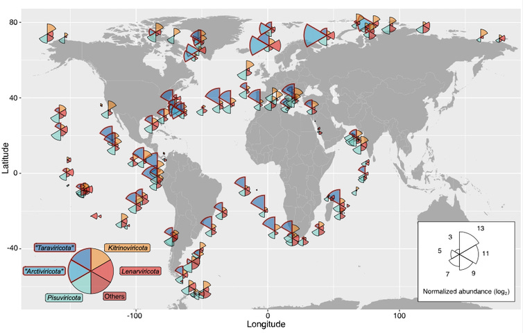 World map showing distribution and abundance of RNA virus phyla.