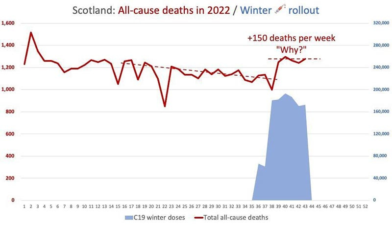 Scotland all cause deaths
