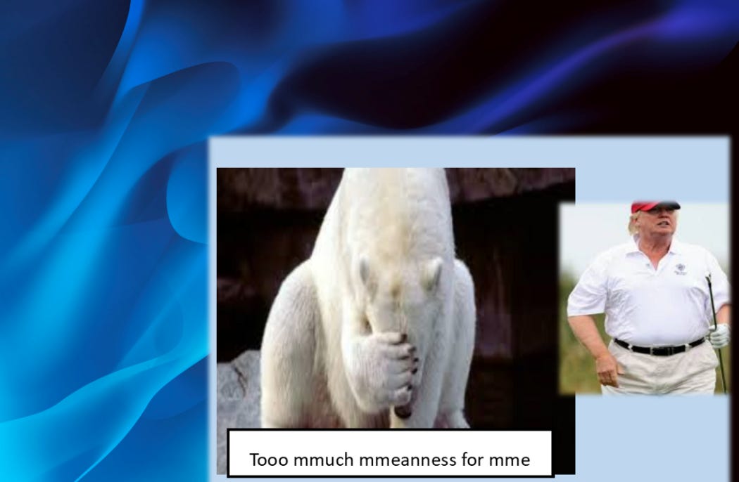 polar bear with head in paw and trump looking at golf shot