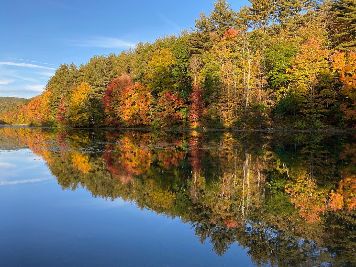 A forest of brilliant gold, orange, red, yellow, and green trees on the edge of a lake; the trees are reflected in the still water, as is the bright blue sky.