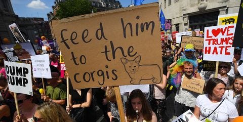 The 25 Cheekiest Signs From the London Trump Protests